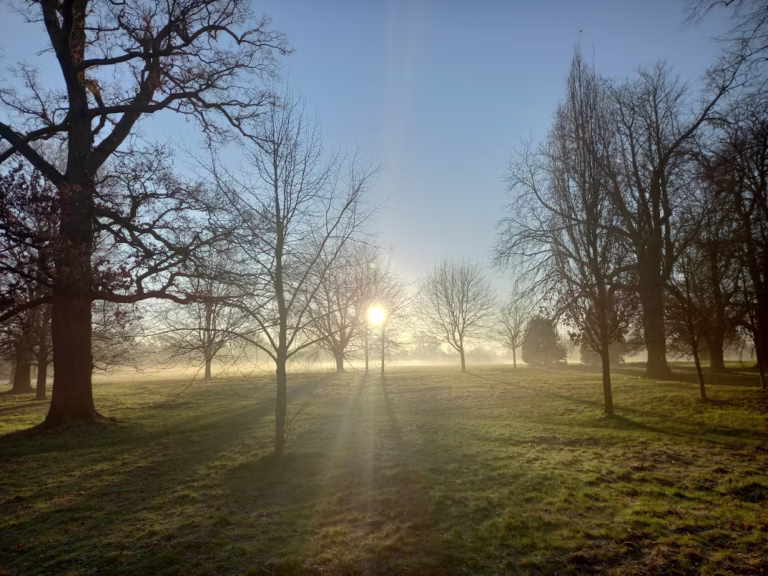 quiet early morning walk — morning routine
